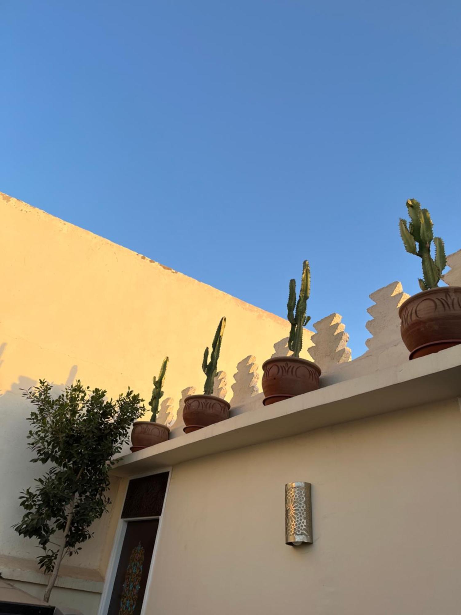 Riad Julilu Privatise マラケシュ エクステリア 写真